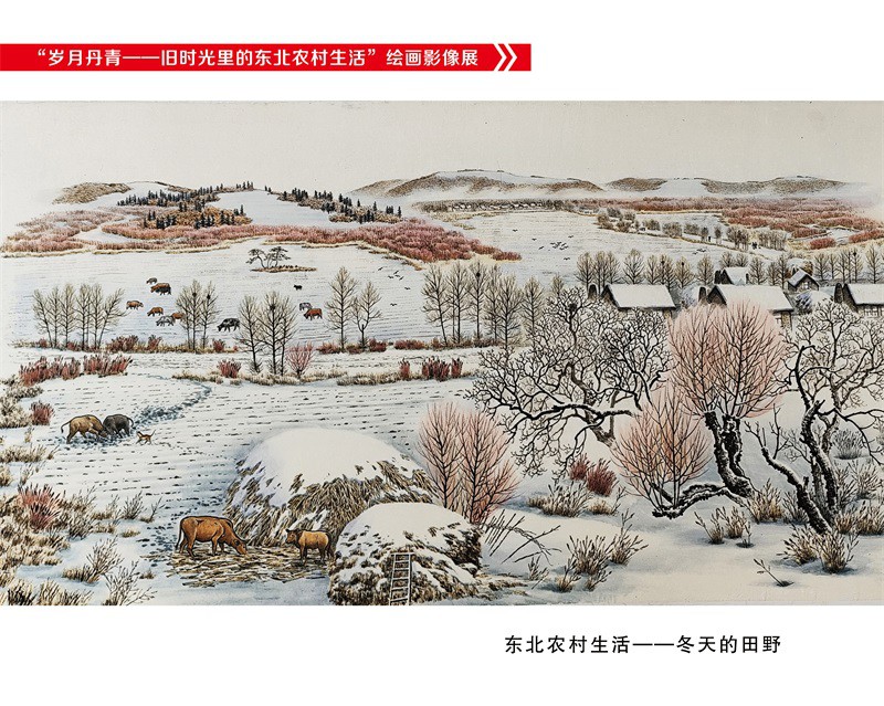 冬天的田野.JPG
