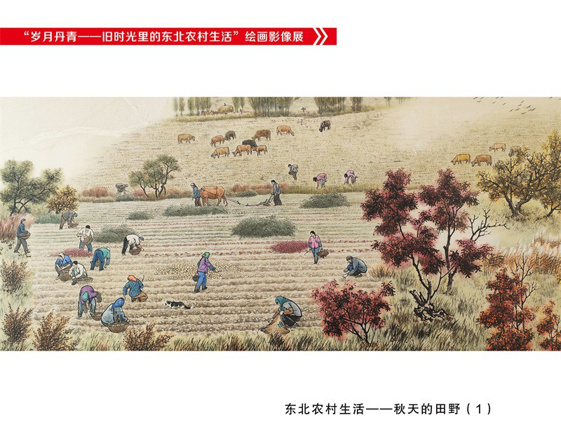 秋天的田野.JPG